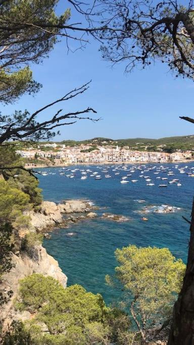 The Golden Oak In Calella Centre - 100M From Beach 팔라프루헬 외부 사진
